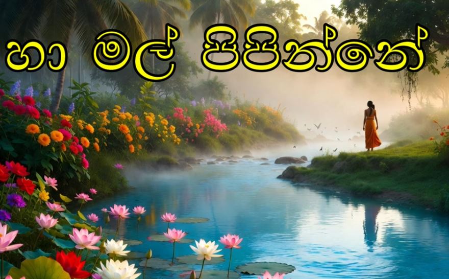 Ha Mal Pipenne Karaoke