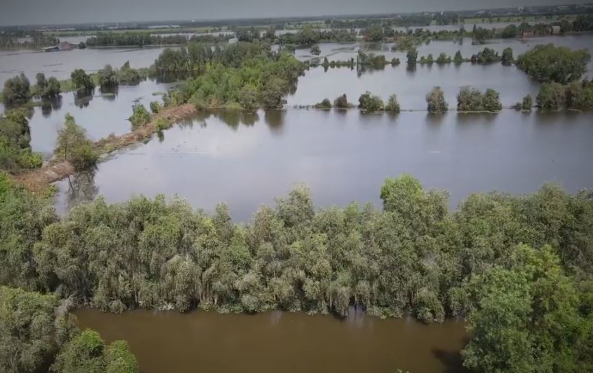 Island of My Heart , Dodwell Keyt