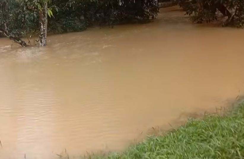 University Of Peradeniya | Flood season pera