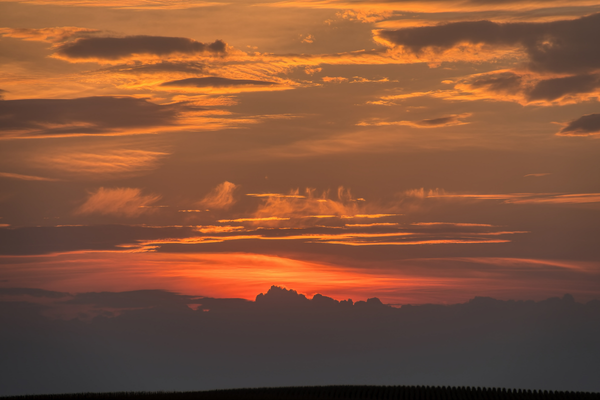 Trump in the Cloud - By Dr Harold Gunatillake