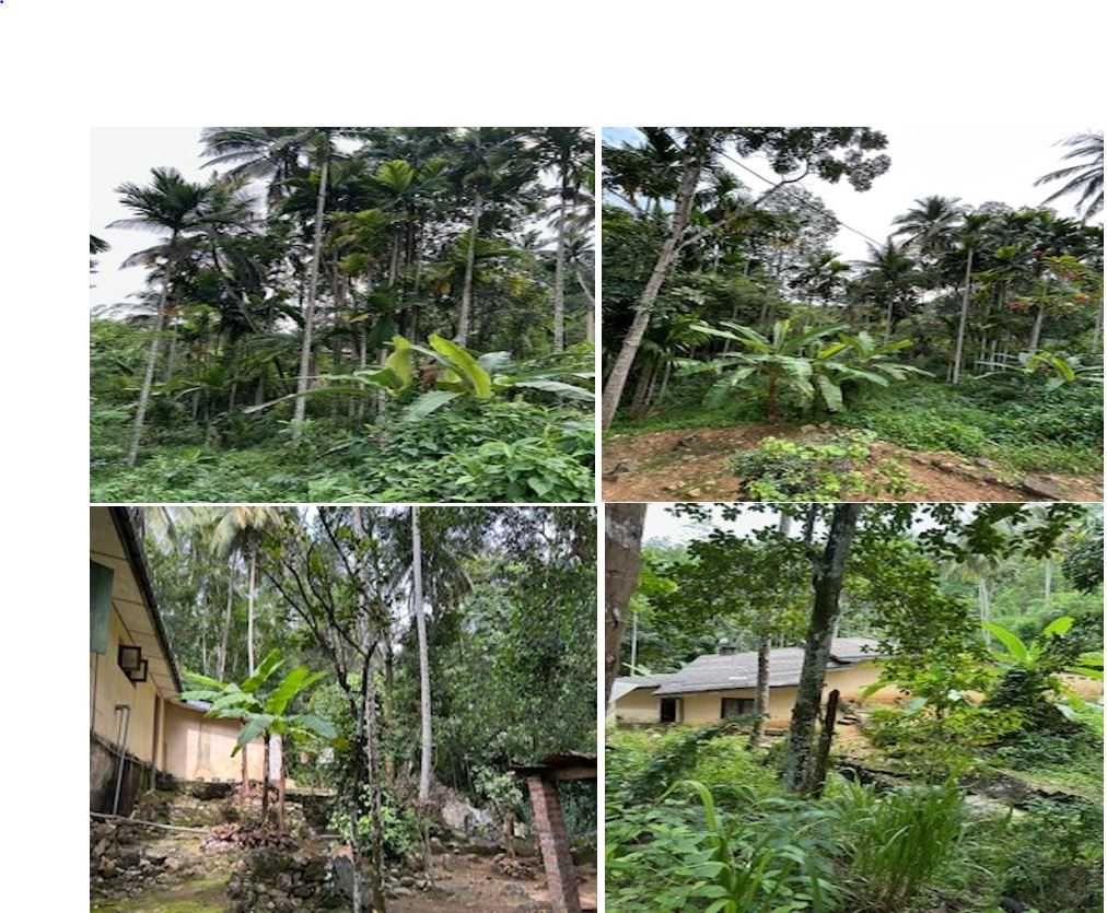 House & Property for Sale Hindagala, Kandy Sri Lanka