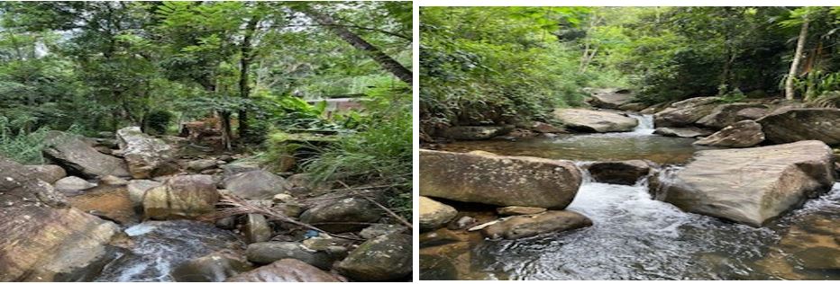 House & Property for Sale Hindagala, Kandy Sri Lanka