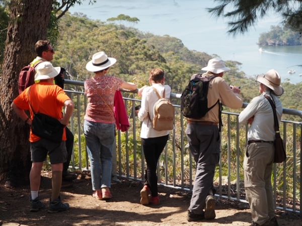 Hornsby Shire Council's free guided bushwalks
