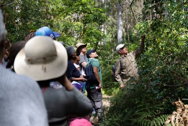 Hornsby Shire Council's free guided bushwalks 2