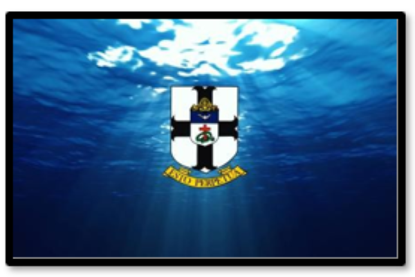 60th Anniversary of the 1966 STC Cricket Season