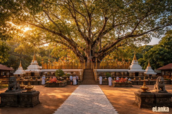 A Life Devoted to a Noble Social Mission Venerable Pelpola Vipassi Thera
