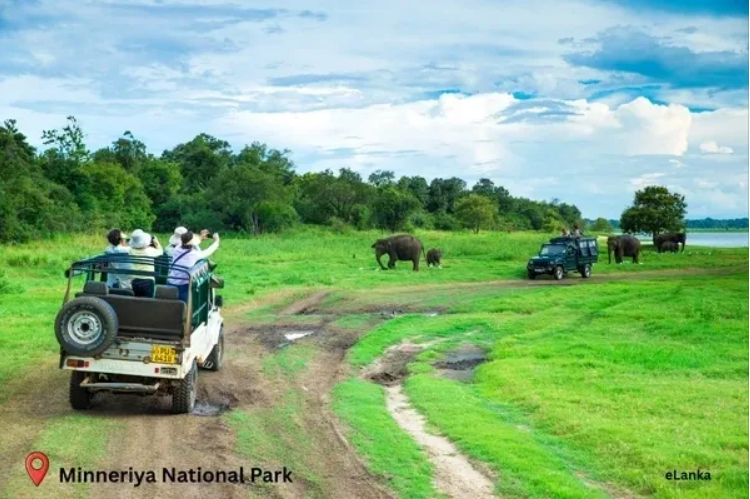 Minneriya National Park