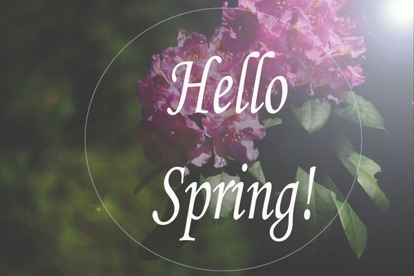 hello spring