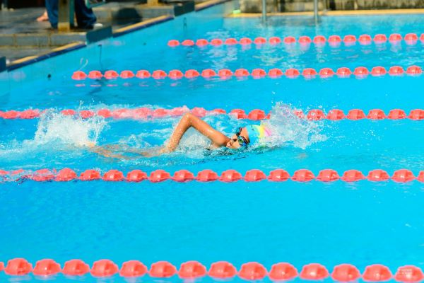 Visakha Vidyalaya Swimming Meet 2026 A Celebration of Excellence and Unity