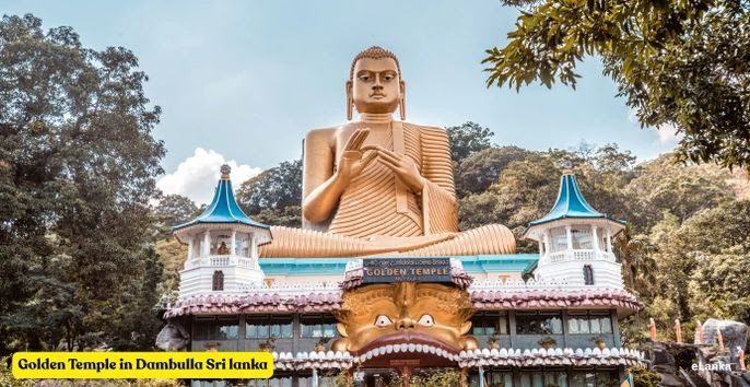 eLanka Newsletter - 19th April 2026