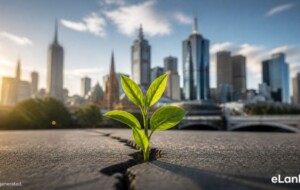 Melbourne Housing , Melbourne Housing Market , Property Investment , Sri Lankan Community