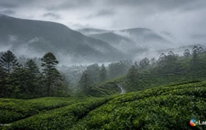 Agriculture Sri Lanka , Community News , Southwest Monsoon , Sri Lanka Weather