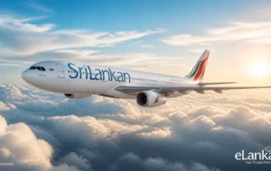 SriLankan Airlines, UL606, SriLankan Airlines Sydney flight, lightning strike aircraft, flight UL606, Bandaranaike International Airport, BIA Sri Lanka, Sydney bound flight, aviation safety, aircraft lightning strike, Airbus A330, Sri Lanka aviation news, airline safety procedures, emergency return flight, Sydney airport, Sri Lankan community Australia, aviation incident Sri Lanka, flight safety protocols, commercial aircraft lightning strike, Sri Lankan expatriates Australia, airline passenger safety, Civil Aviation Authority Sri Lanka, Daminda Rambukwella, long haul flight safety, Colombo to Sydney flight, airline emergency landing, aircraft maintenance inspection, aviation engineering, Sri Lanka travel news, airline operations, flight disruption management, passenger safety first, international flights Sri Lanka, Sydney travel update, aviation excellence, modern aircraft technology, airline crisis management, Sri Lankan diaspora news, eLanka news, aviation safety standards