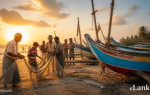 Sri Lanka fishing industry reforms , ILO Work in Fishing Convention 2007 , ILO Convention C188 Sri Lanka , fishing community welfare Sri Lanka , maritime labour standards Sri Lanka