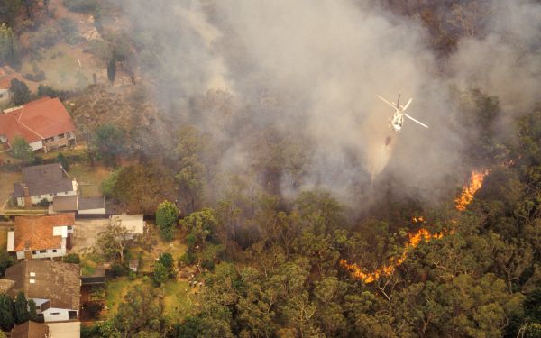 Bushfires are becoming more frequent and severe