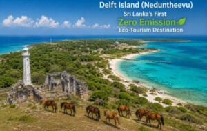 Delft Island