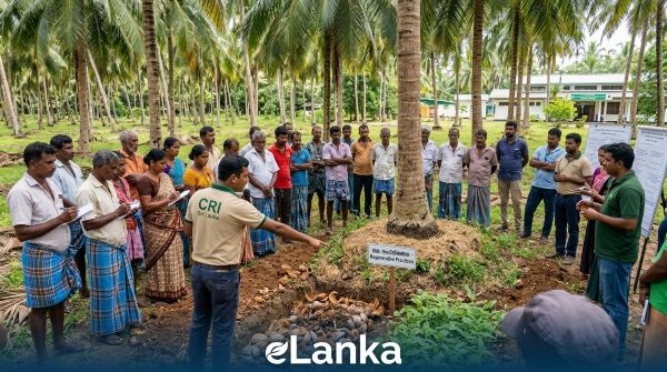 Regenerative Coconut Farming in Sri Lanka