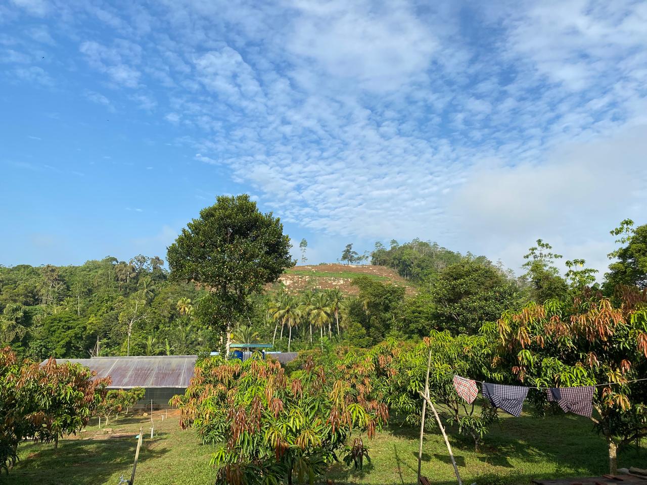 2 acres land for sale in Horana