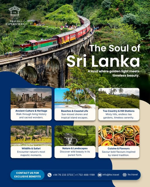 Luxury Travel Experiences (LTE)